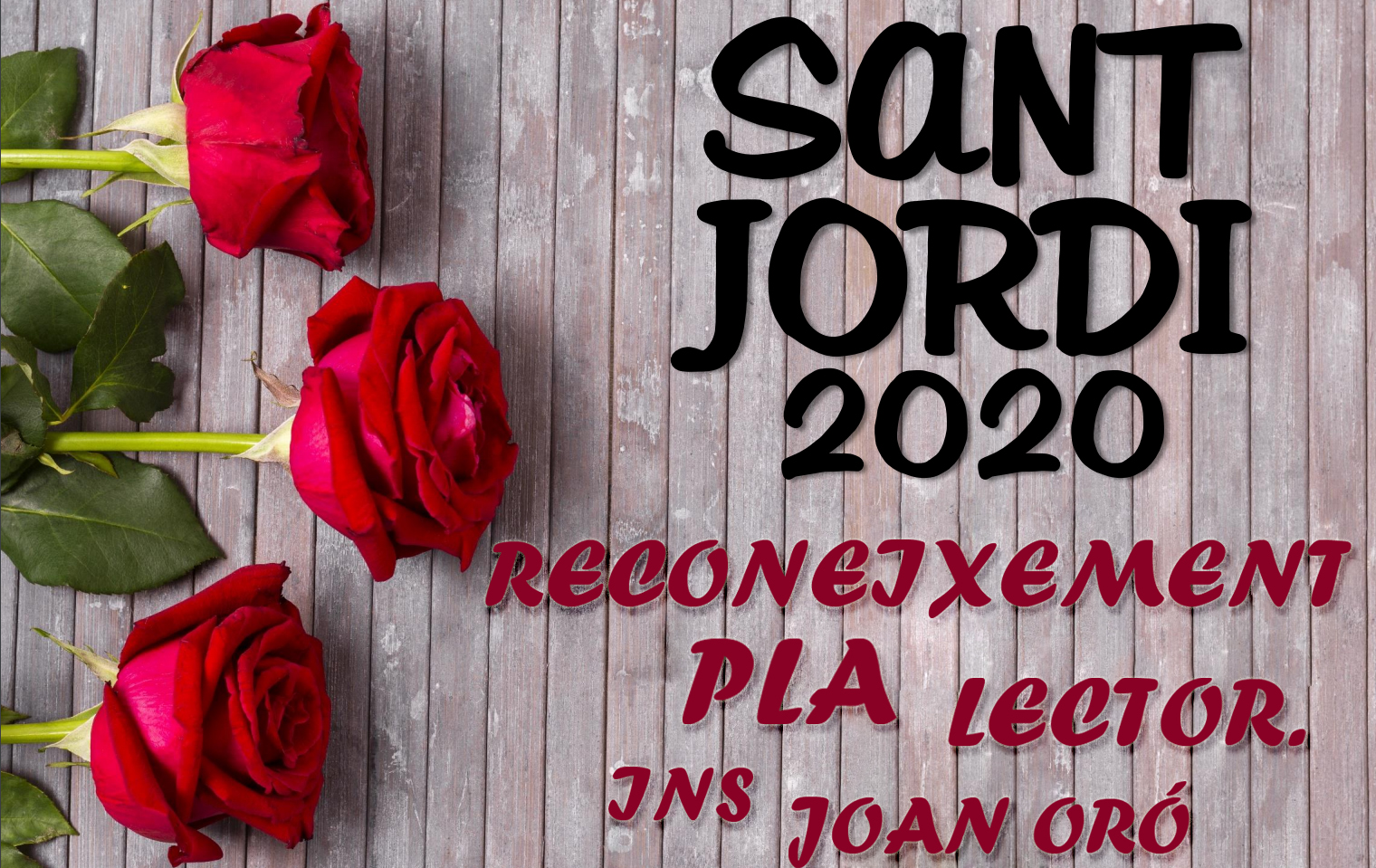 PlaLectorSantJordi